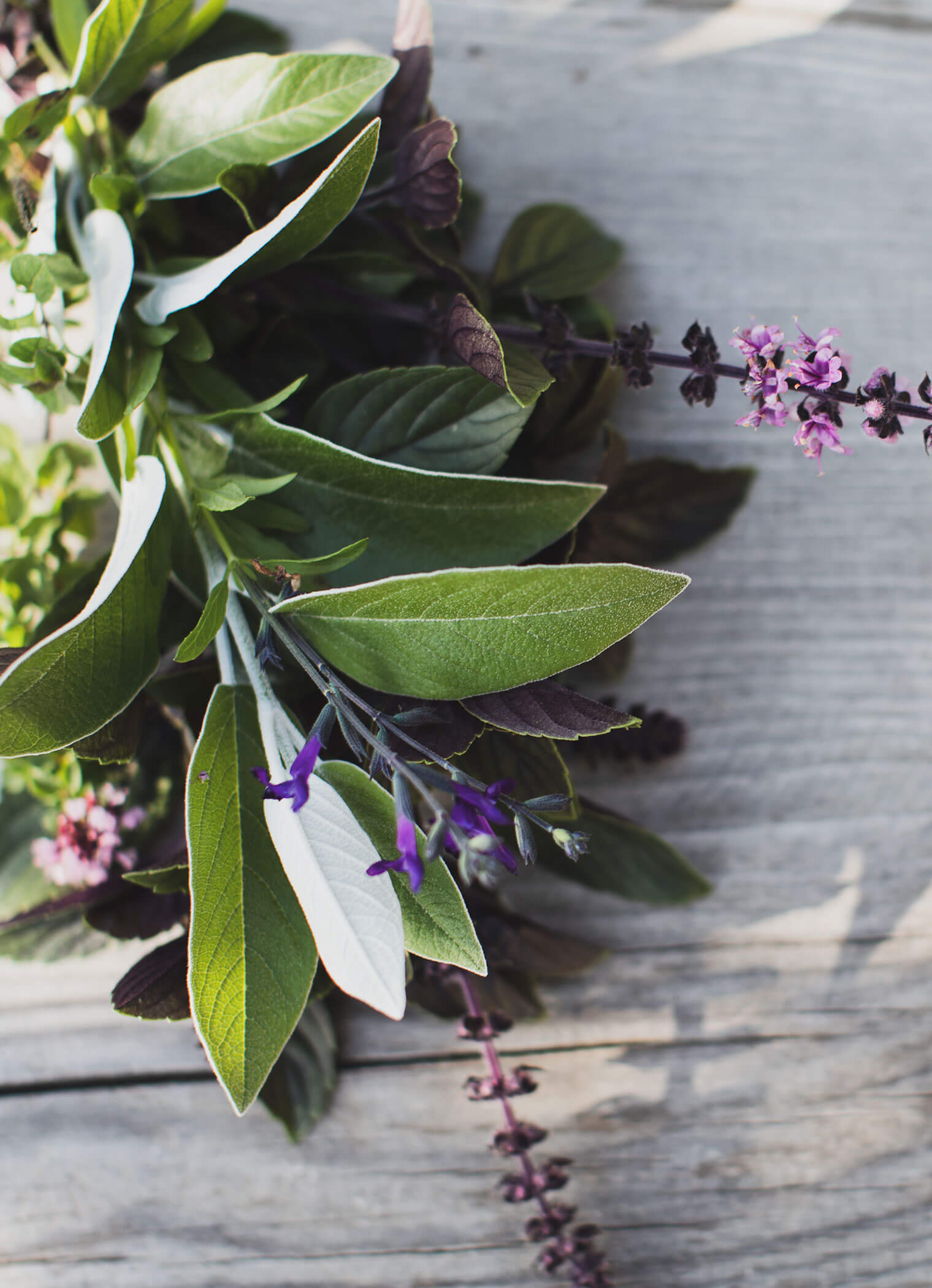 Offerta Primavera - Sonnenhof