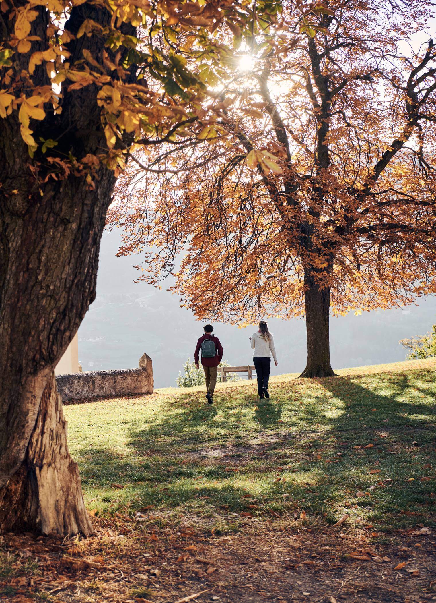 Happy autumn - Sonnenhof