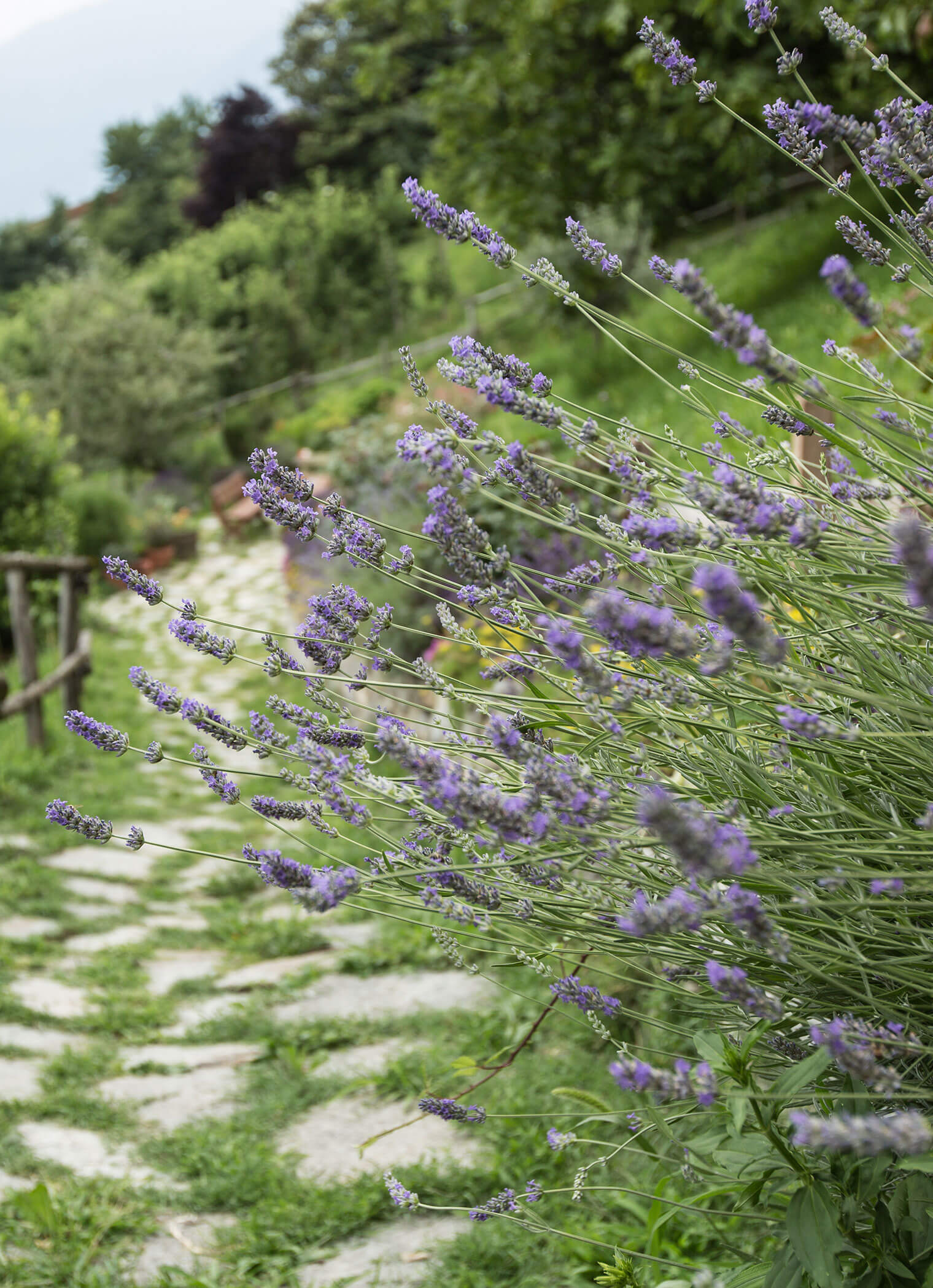 Aprés-Sauna - Walk - Sonnenhof